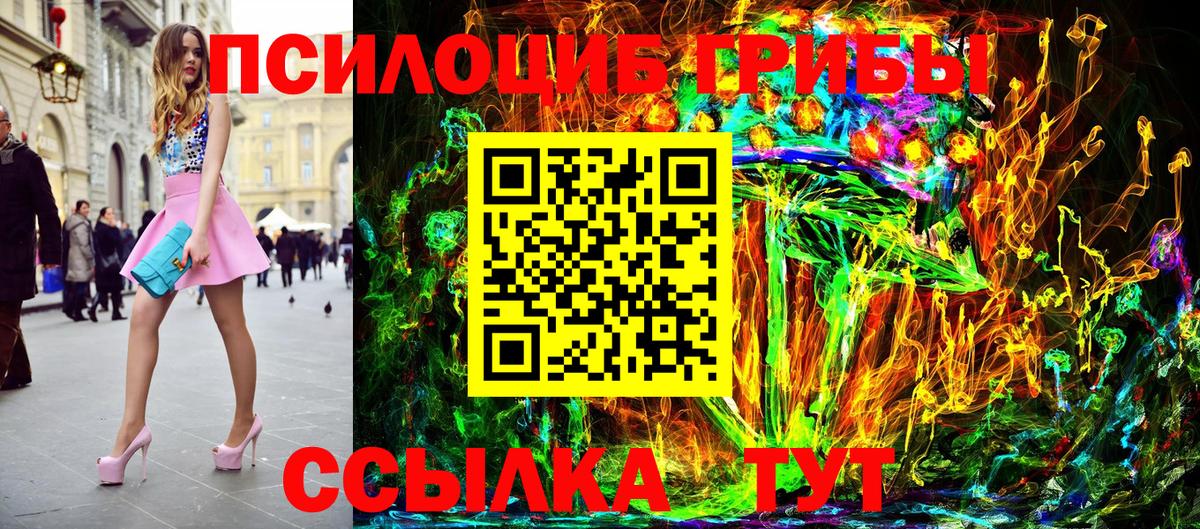 Псилоцибиновые грибы Cubensis Бор