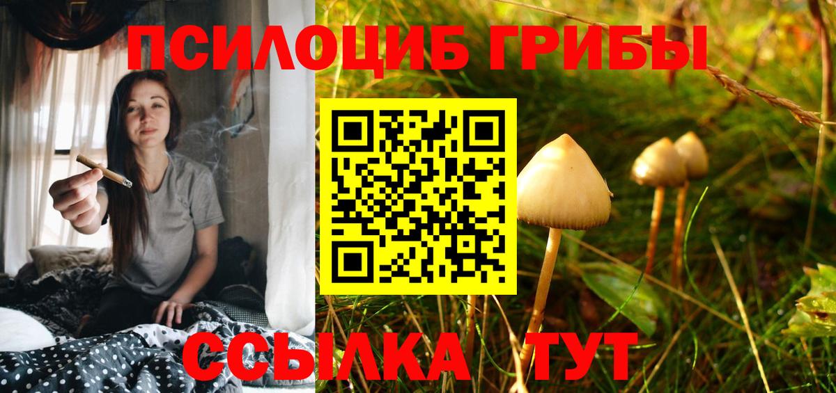 Галлюциногенные грибы GOLDEN TEACHER  Вход с VPN  Бор 